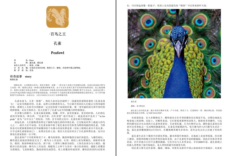 QQ截图20230913203118.png