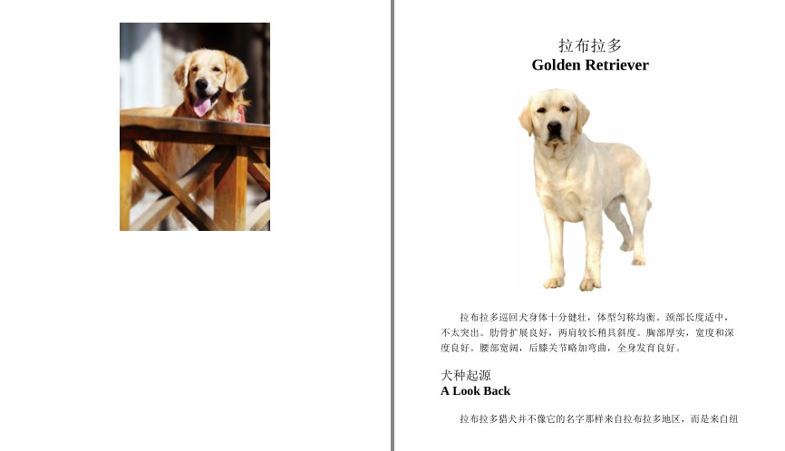 QQ截图20230729072313.png