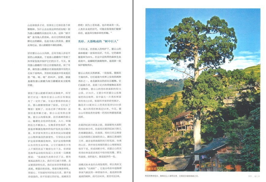 QQ截图20230729083231.png