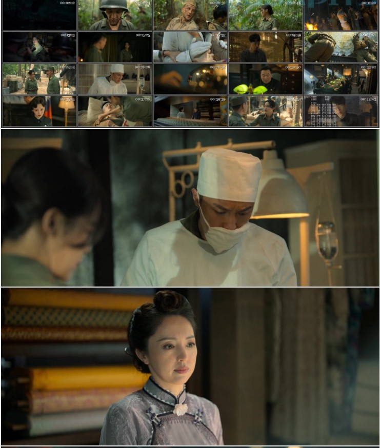 QQ截图20240630095115.png