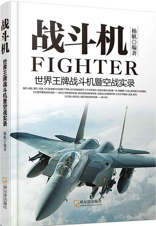 战斗机：世界王牌战斗机暨空战实录